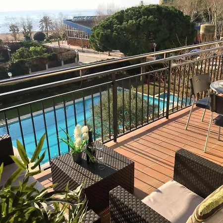 The Hollidays * 卡里拉