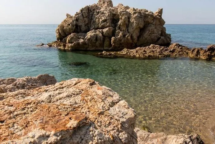 The Hollidays * 卡里拉