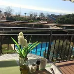 The Hollidays