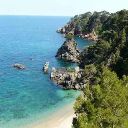 The Hollidays *