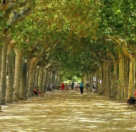 The Hollidays Appartamento Calella