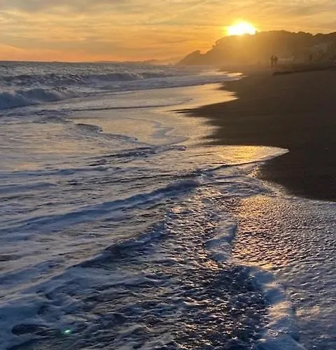 The Hollidays Калелья