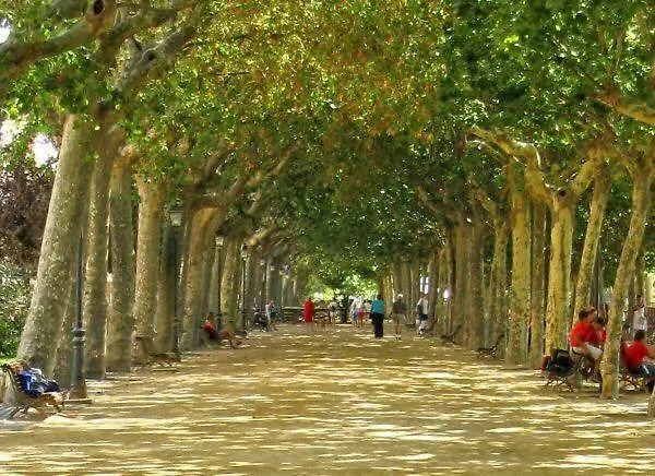 The Hollidays Апартаменты Калелья