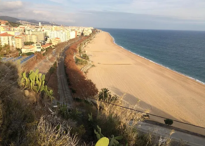 The Hollidays Апартаменты *