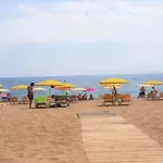The Hollidays