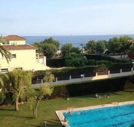 The Hollidays *