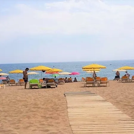 The Hollidays